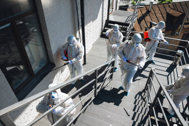 Best Emergency Mold Remediation  in Windcrest, TX